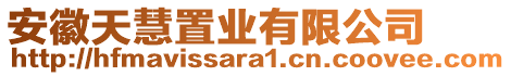 安徽天慧置業(yè)有限公司