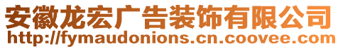 安徽龍宏廣告裝飾有限公司