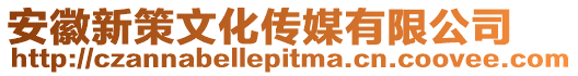 安徽新策文化傳媒有限公司