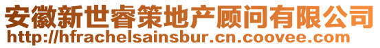 安徽新世睿策地產顧問有限公司