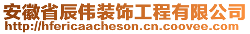 安徽省辰偉裝飾工程有限公司