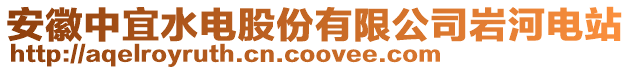 安徽中宜水電股份有限公司巖河電站