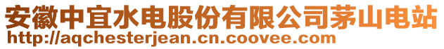 安徽中宜水電股份有限公司茅山電站