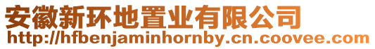 安徽新環地置業有限公司