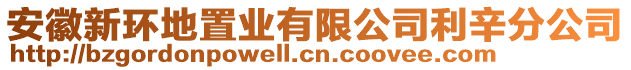 安徽新環(huán)地置業(yè)有限公司利辛分公司