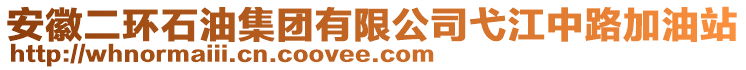 安徽二環(huán)石油集團有限公司弋江中路加油站