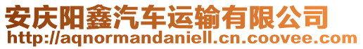 安慶陽鑫汽車運輸有限公司