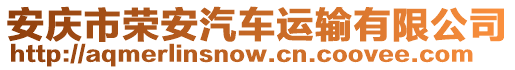 安慶市榮安汽車運輸有限公司