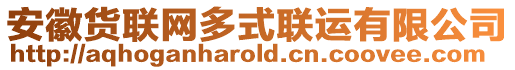 安徽貨聯(lián)網(wǎng)多式聯(lián)運有限公司