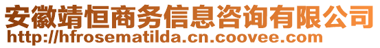 安徽靖恒商務(wù)信息咨詢有限公司