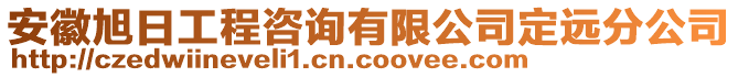 安徽旭日工程咨詢有限公司定遠分公司