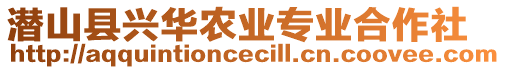 潛山縣興華農業專業合作社