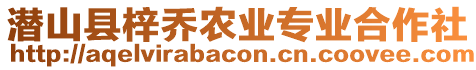 潛山縣梓喬農業專業合作社