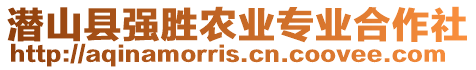 潛山縣強(qiáng)勝農(nóng)業(yè)專業(yè)合作社