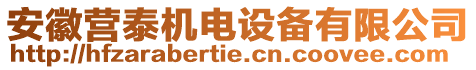 安徽營(yíng)泰機(jī)電設(shè)備有限公司