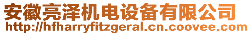 安徽亮澤機(jī)電設(shè)備有限公司