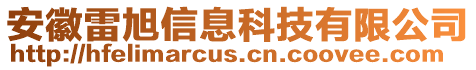 安徽雷旭信息科技有限公司