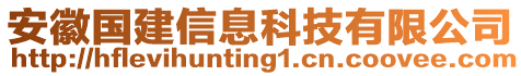 安徽國建信息科技有限公司