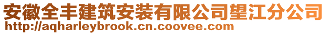 安徽全豐建筑安裝有限公司望江分公司