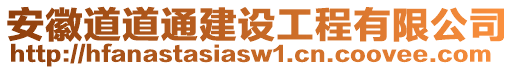 安徽道道通建設工程有限公司