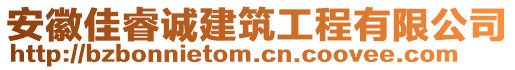 安徽佳睿誠(chéng)建筑工程有限公司