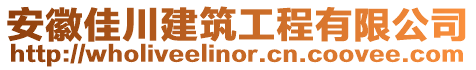 安徽佳川建筑工程有限公司