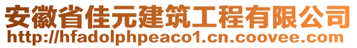 安徽省佳元建筑工程有限公司