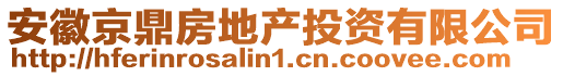 安徽京鼎房地產(chǎn)投資有限公司