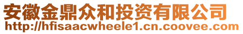 安徽金鼎眾和投資有限公司