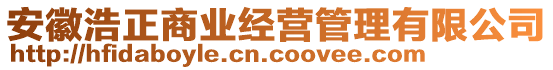 安徽浩正商業(yè)經(jīng)營管理有限公司