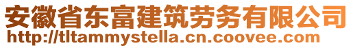 安徽省東富建筑勞務(wù)有限公司