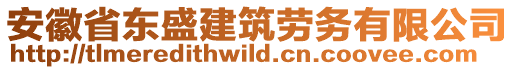 安徽省東盛建筑勞務有限公司