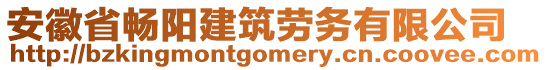 安徽省暢陽(yáng)建筑勞務(wù)有限公司