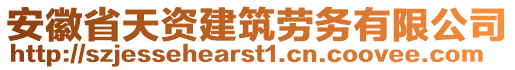 安徽省天資建筑勞務(wù)有限公司