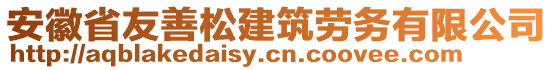 安徽省友善松建筑勞務有限公司