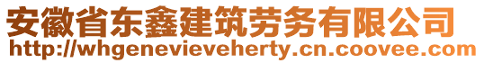 安徽省東鑫建筑勞務(wù)有限公司