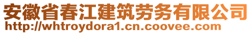 安徽省春江建筑勞務有限公司