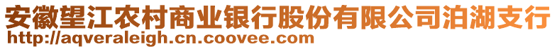 安徽望江農(nóng)村商業(yè)銀行股份有限公司泊湖支行