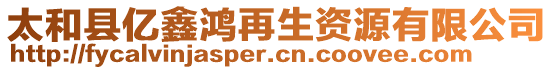 太和縣億鑫鴻再生資源有限公司