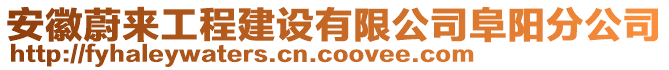 安徽蔚來工程建設(shè)有限公司阜陽分公司