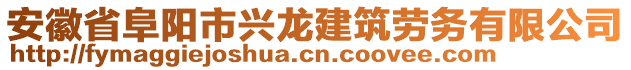 安徽省阜陽市興龍建筑勞務(wù)有限公司