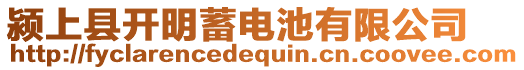 潁上縣開明蓄電池有限公司