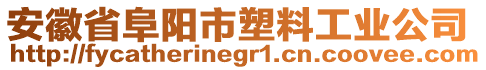 安徽省阜陽市塑料工業(yè)公司