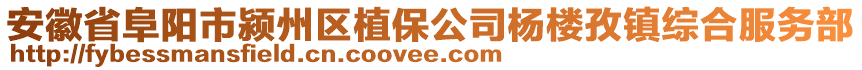 安徽省阜陽市潁州區(qū)植保公司楊樓孜鎮(zhèn)綜合服務部