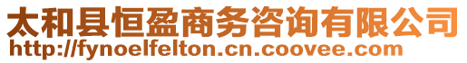 太和縣恒盈商務(wù)咨詢有限公司