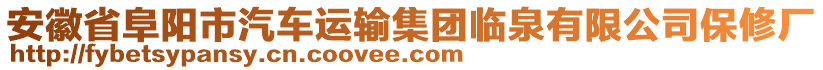 安徽省阜陽市汽車運輸集團臨泉有限公司保修廠