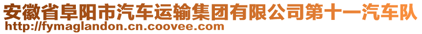 安徽省阜陽市汽車運(yùn)輸集團(tuán)有限公司第十一汽車隊(duì)