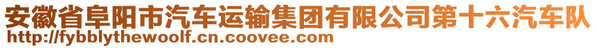 安徽省阜陽市汽車運(yùn)輸集團(tuán)有限公司第十六汽車隊(duì)