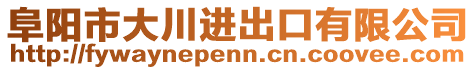 阜陽市大川進出口有限公司