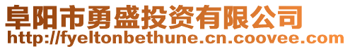 阜陽市勇盛投資有限公司